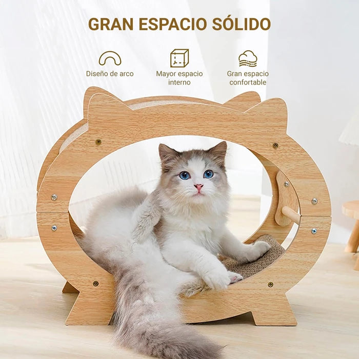 Casa Rascador para Gatos 2 en 1 con Diseño de Arco